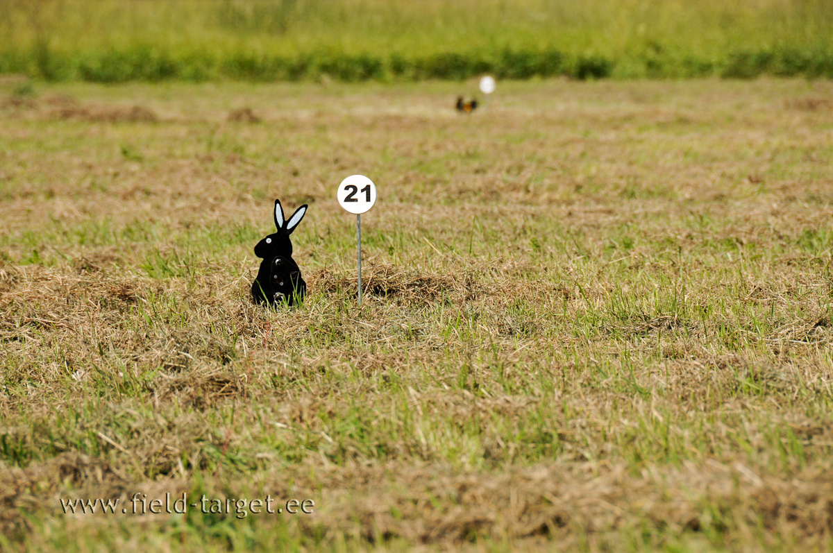 Jänes. Päris loomulik